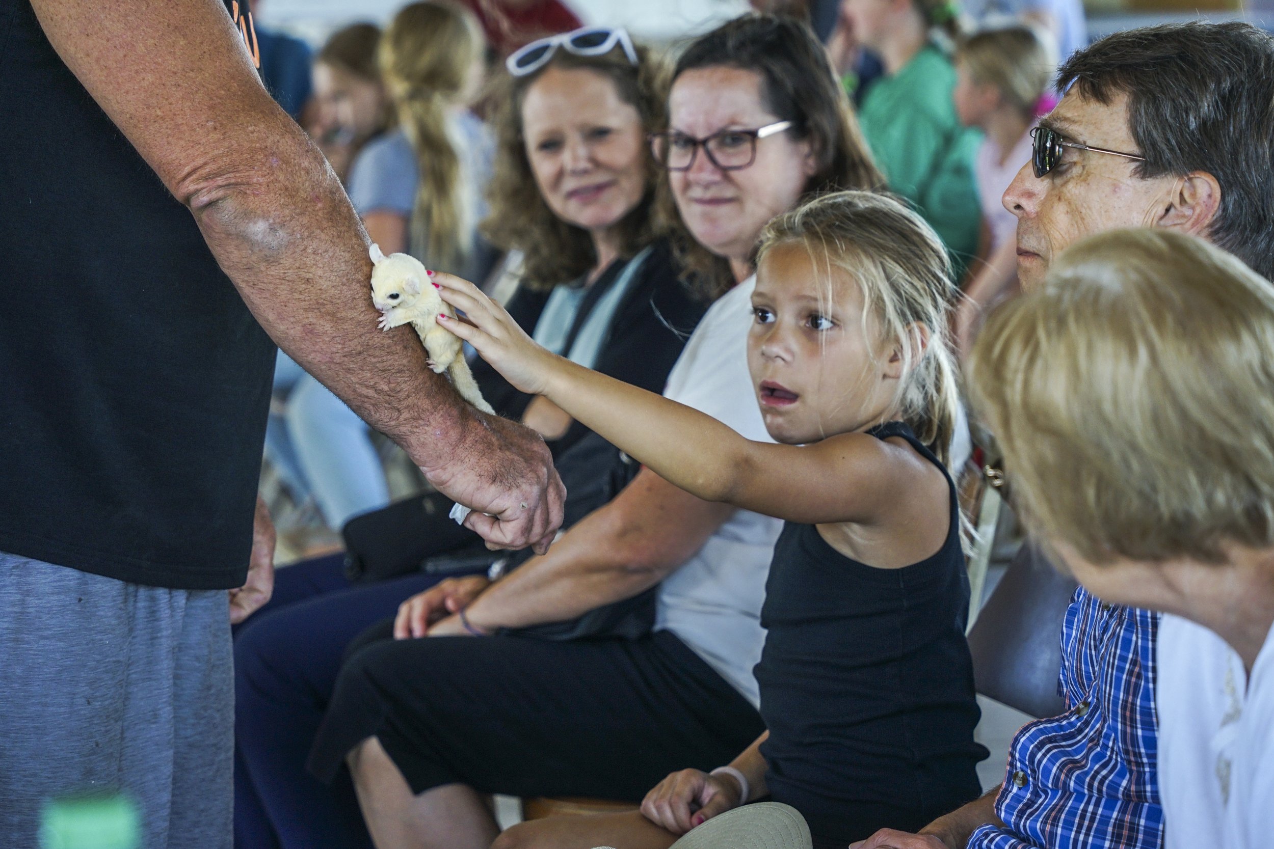 critter closeups squirrel.jpg