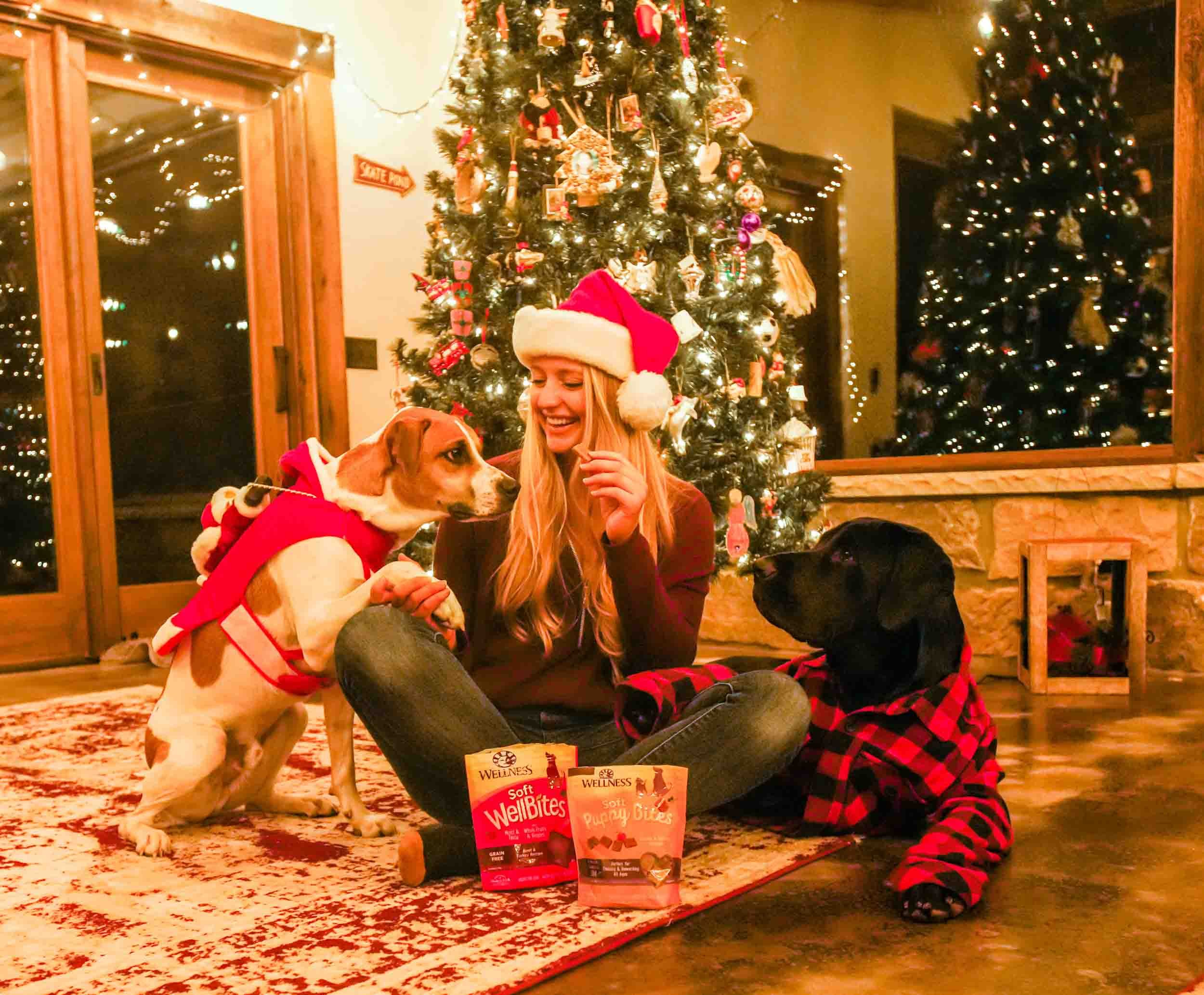 tstarchdog-Wellness Pet Christmas-3.jpg