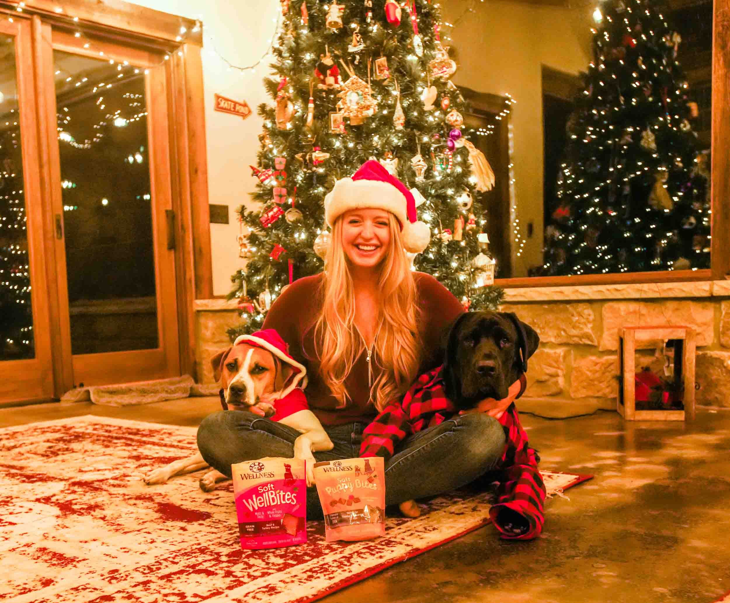 tstarchdog-Wellness Pet Christmas-4.jpg