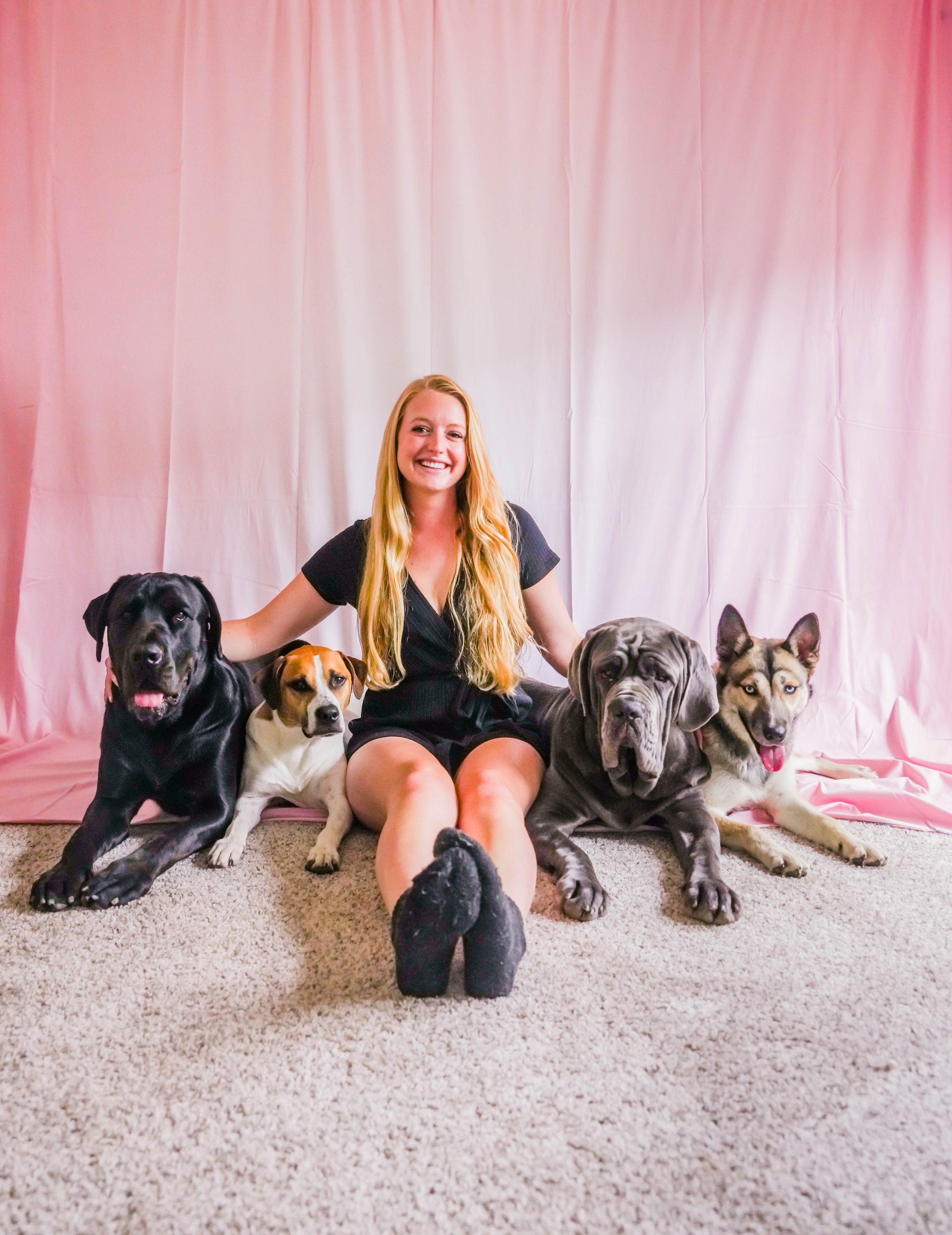 tstarchdog-4 dogs pink backdrop-30.jpg