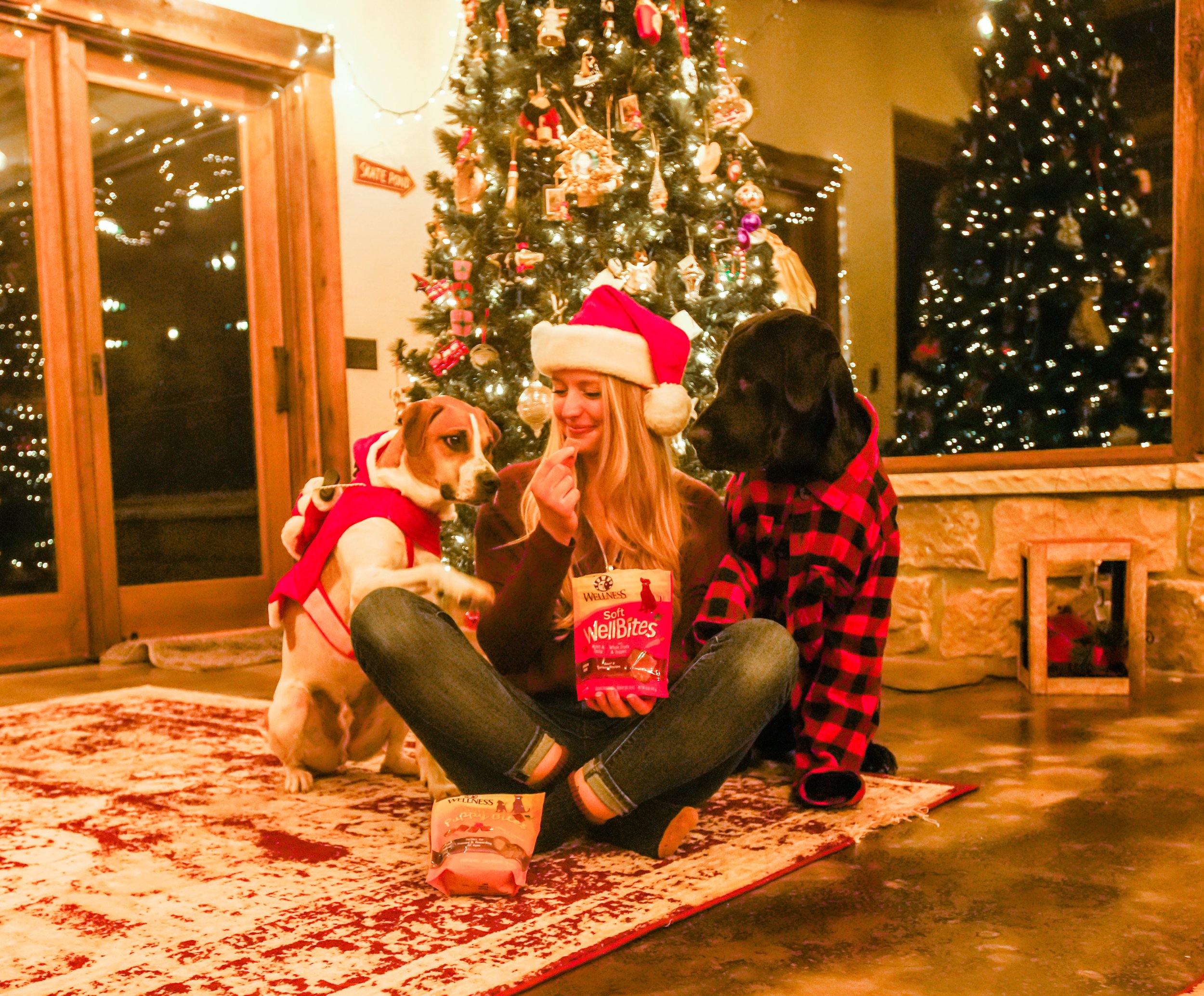 tstarchdog-Wellness Pet Christmas-6.jpg