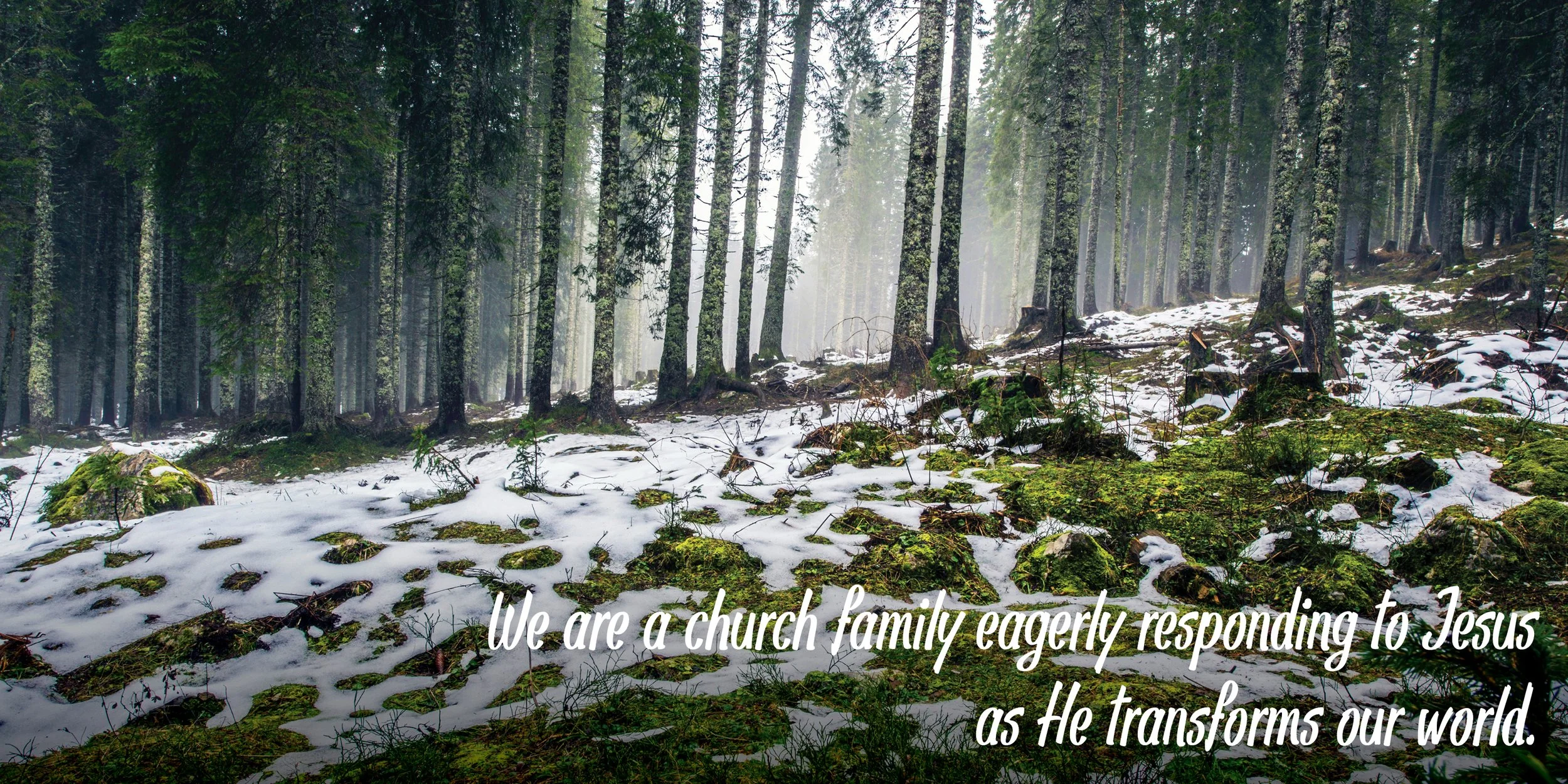 Vision Statement Slide Late Winter Webslide.jpg