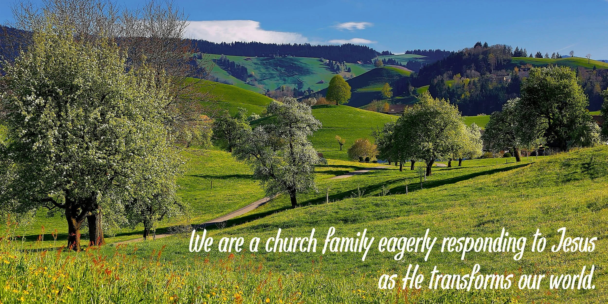 Vision Statement WebSlide Spring.jpg