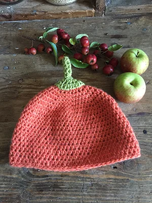 Pumpkin Hat 01.JPG
