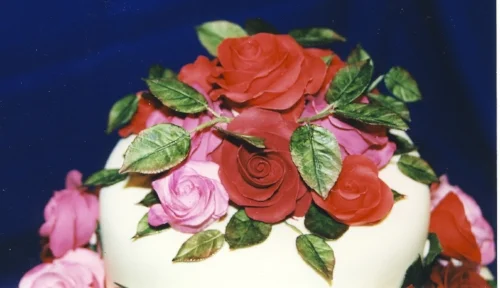 Reds & Pinks Roses