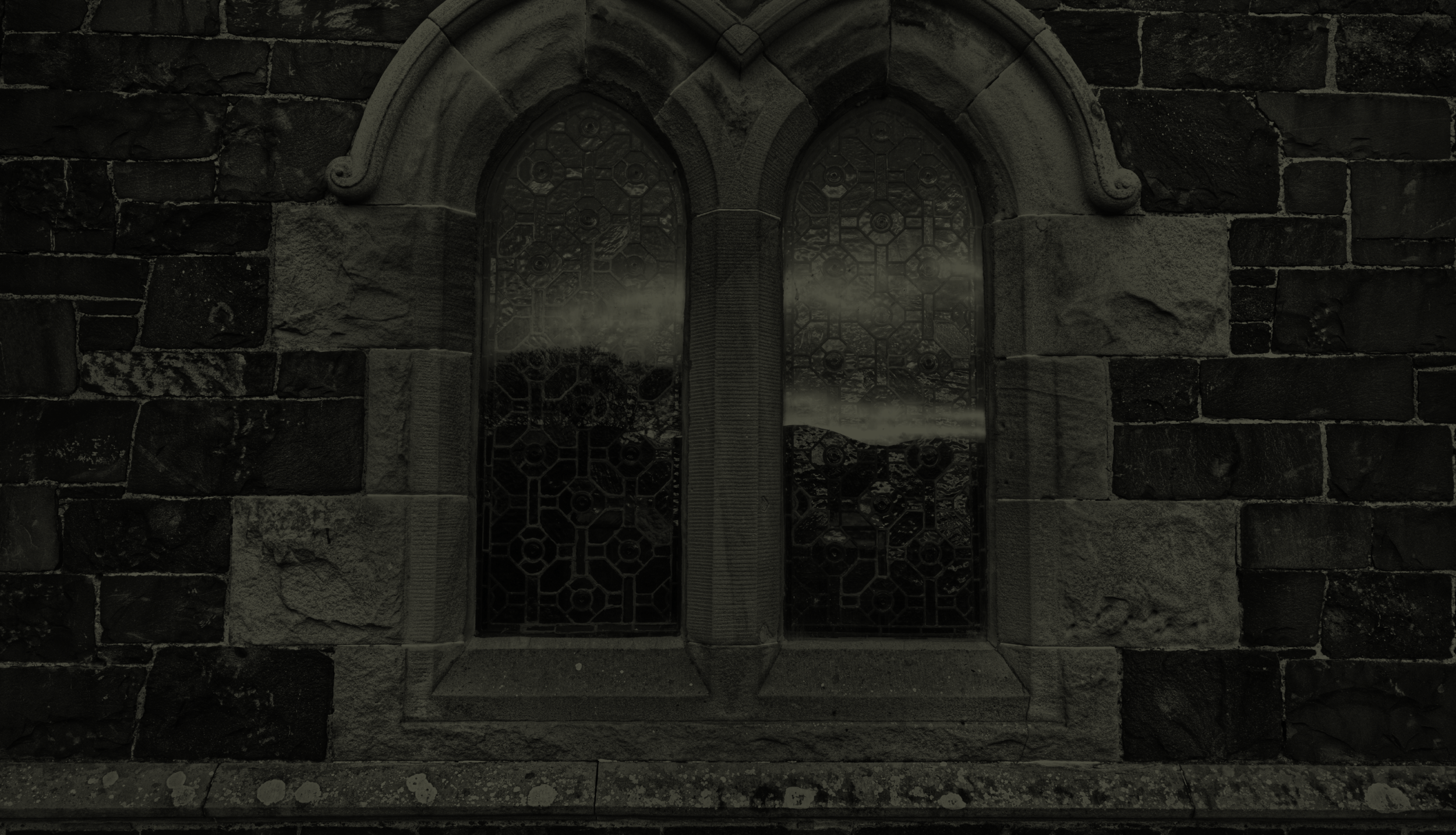 SPREIIT - background@2x.png