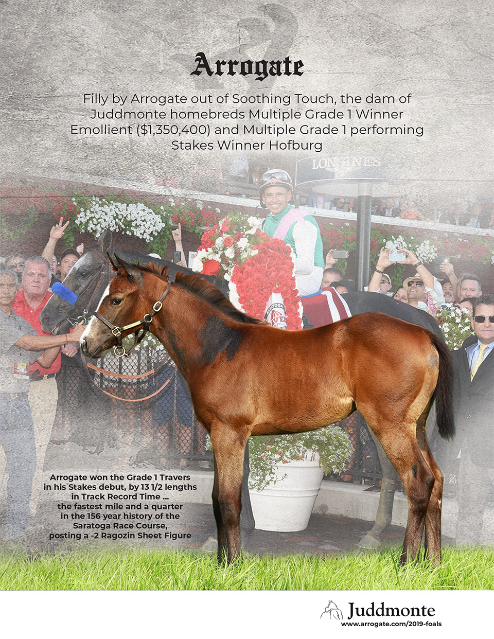 JF_AR_Website_2019Weanlings_SoothingTouch_Ad.png