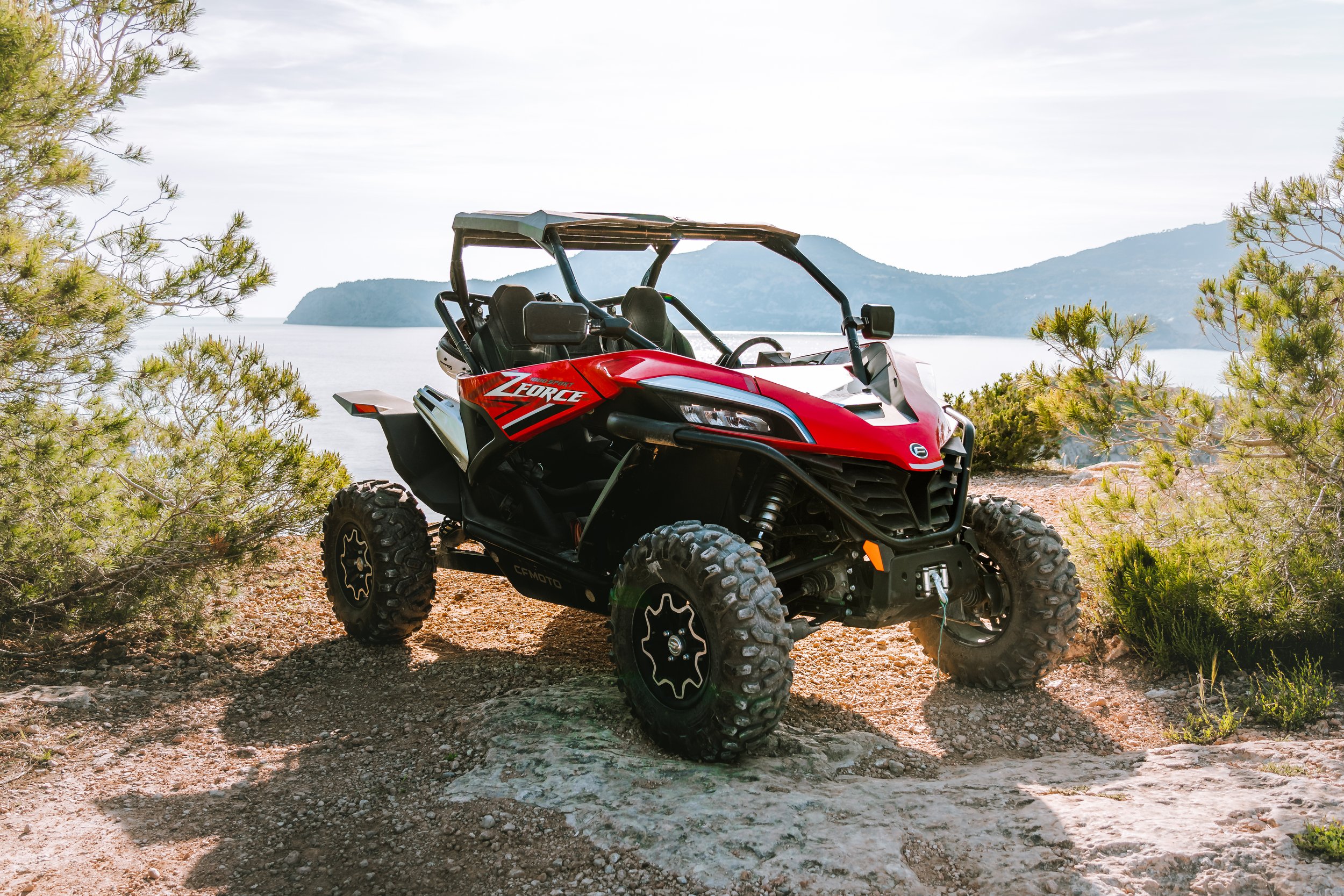 imagen buggy rojo 1000.jpeg