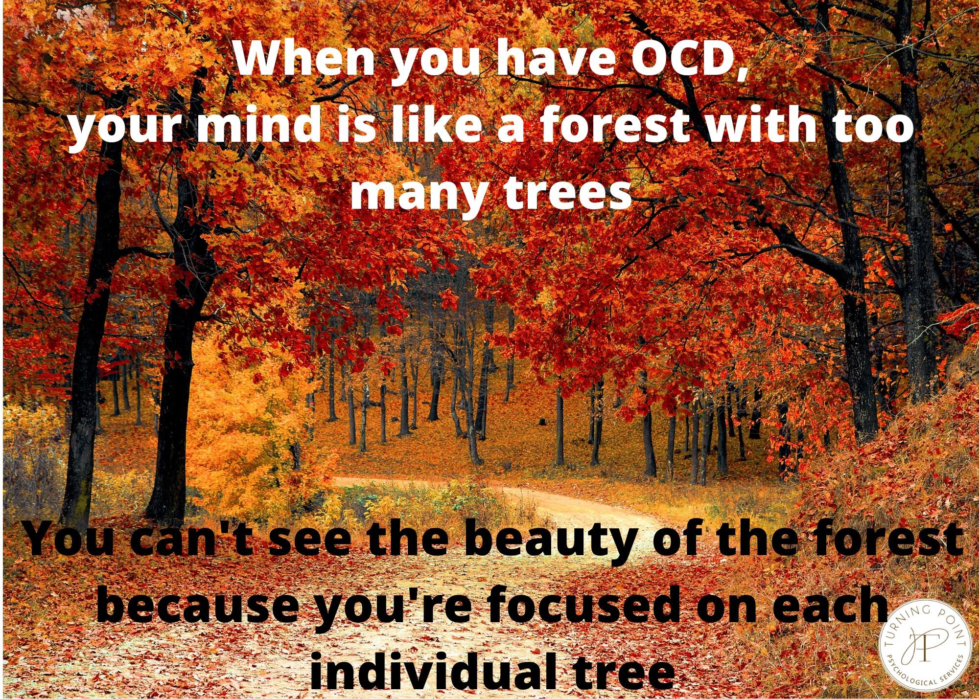 OCD Mind, Forest and Trees