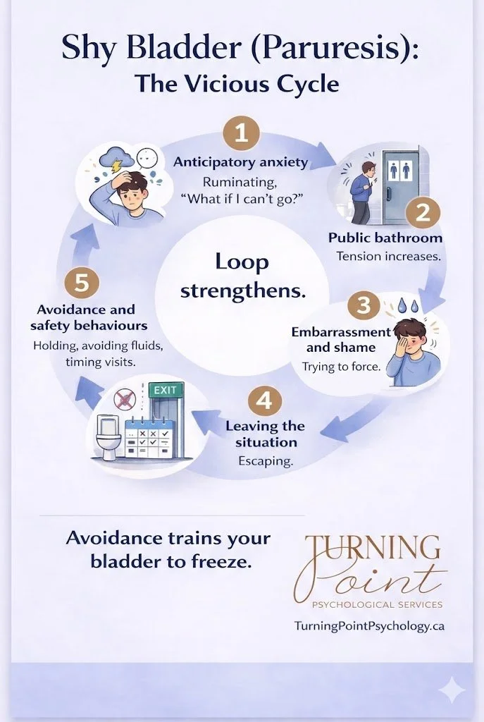 Paruresis: Vicious Cycle