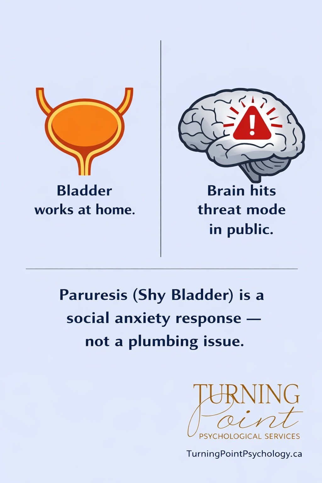Paruresis: Social Anxiety Response