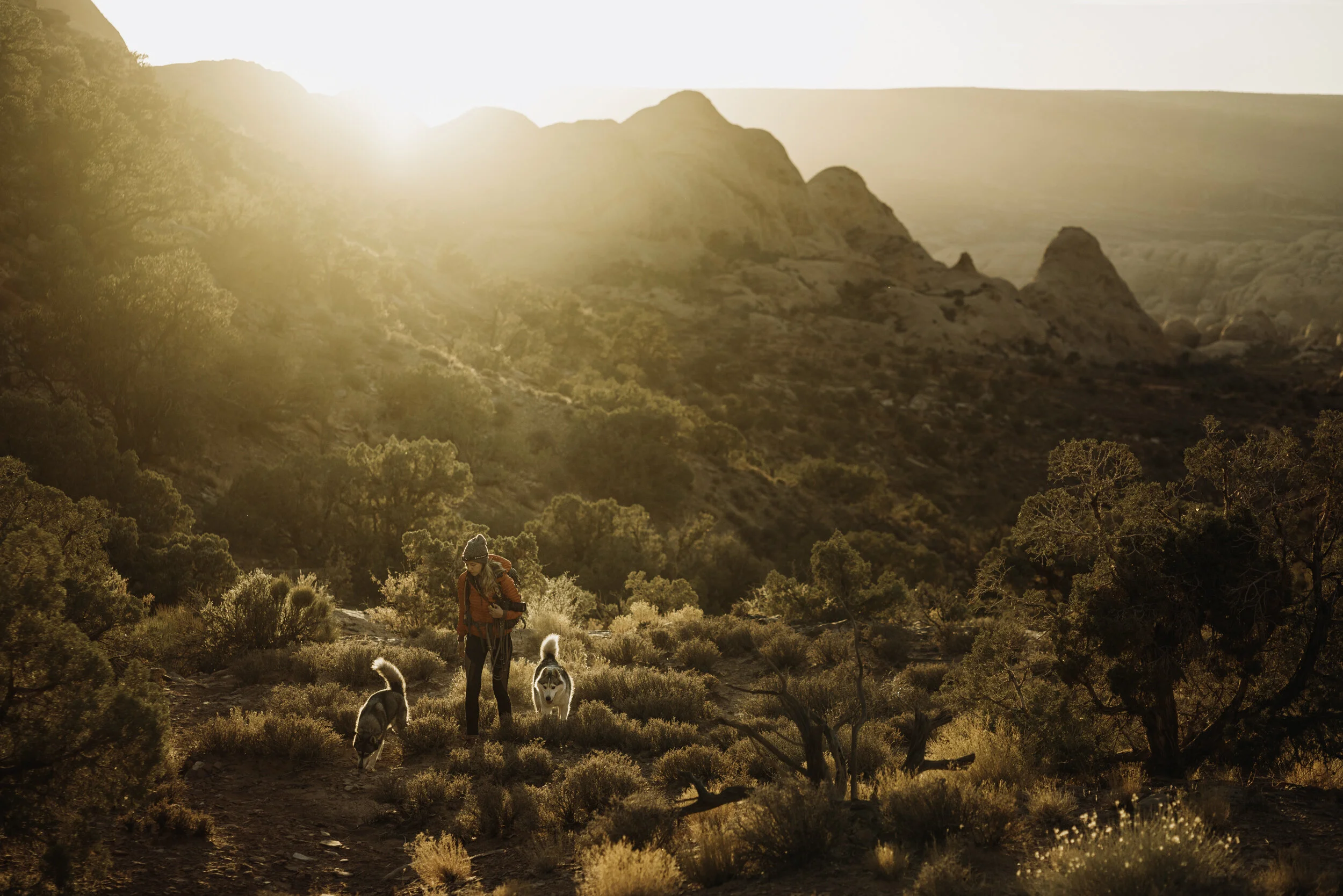 Final_Portfolio _Image_01.jpg