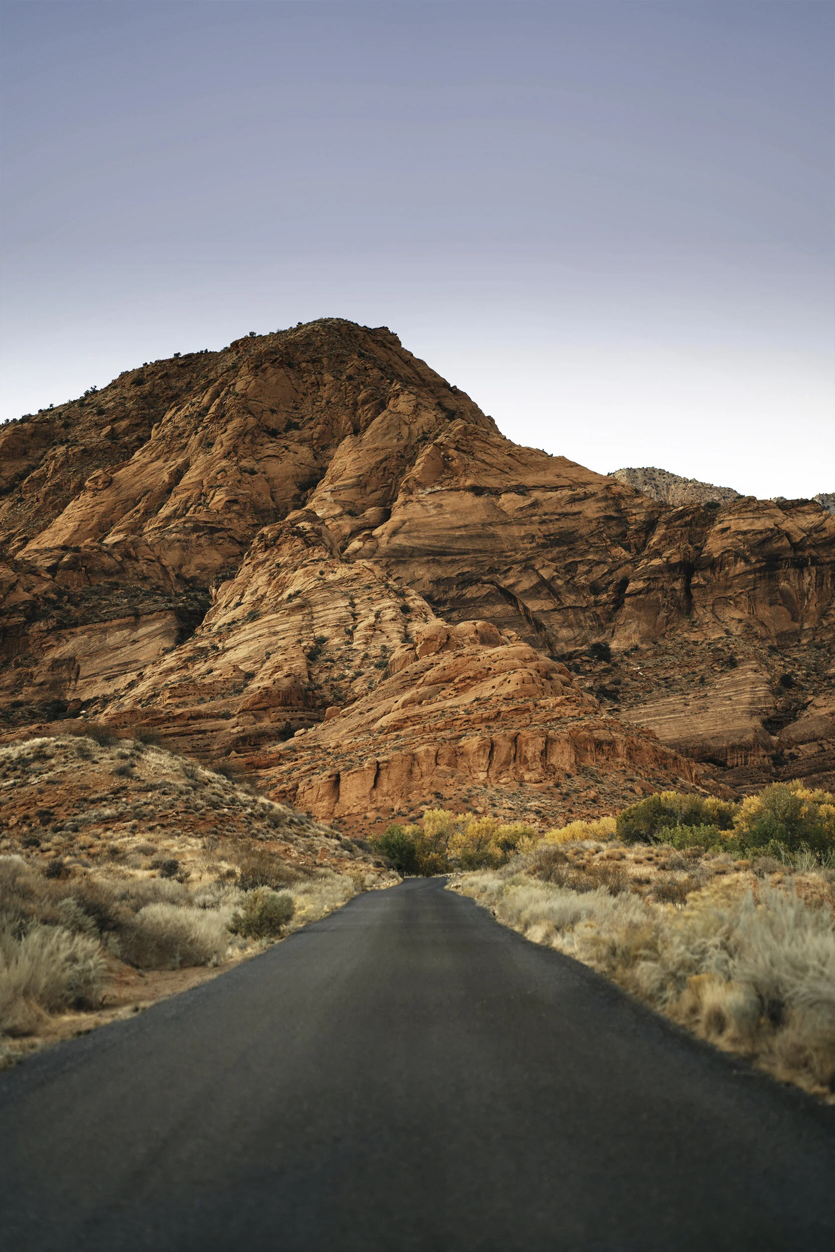 Final_Portfolio _Image_05.jpg