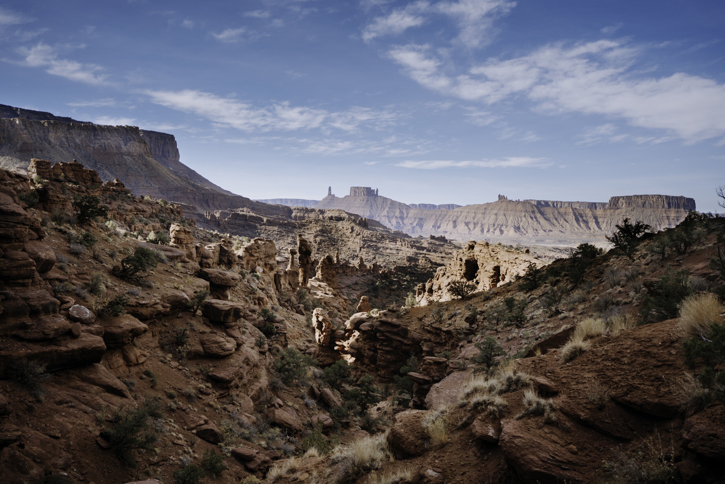 Final_Portfolio _Image_07.jpg