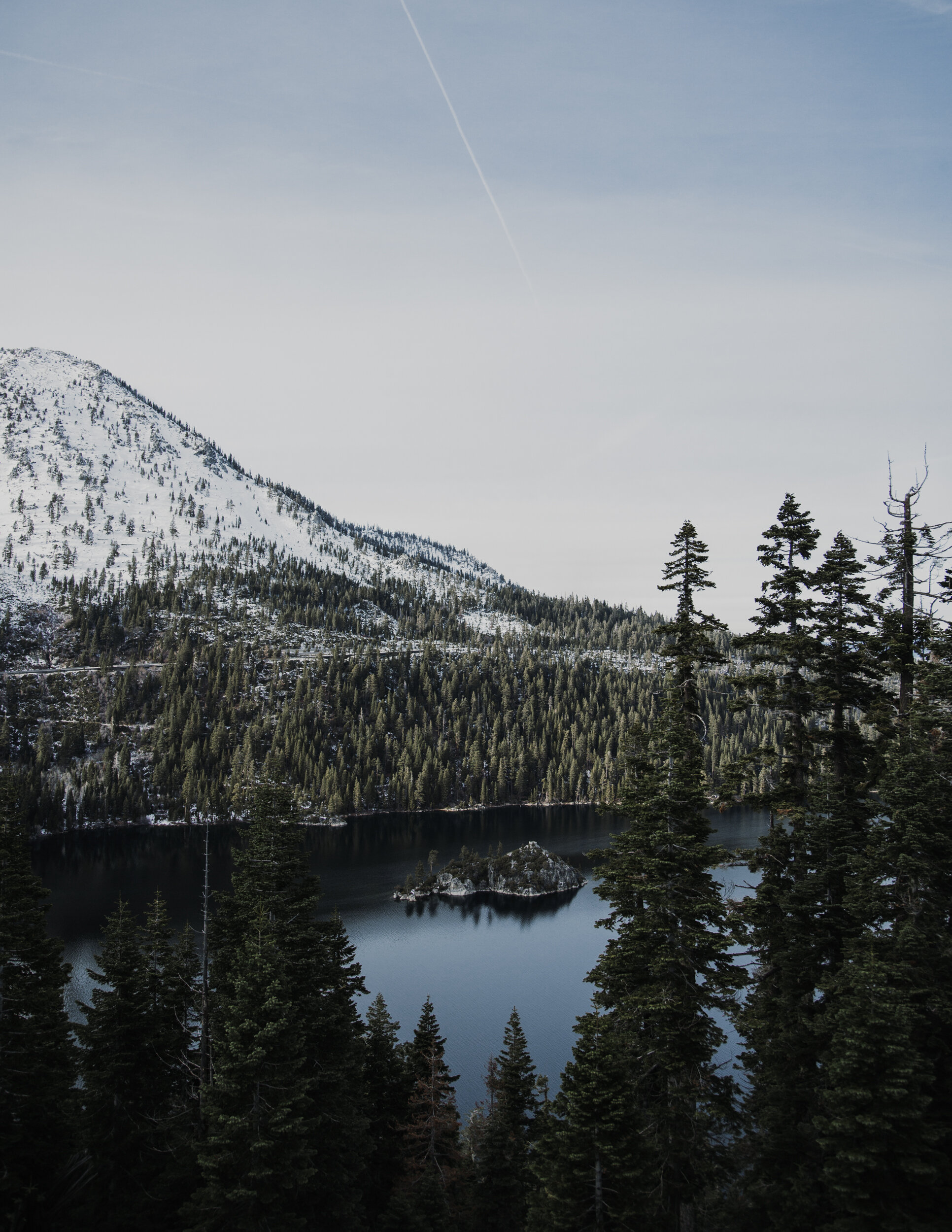 Final_Portfolio _Image_11.jpg