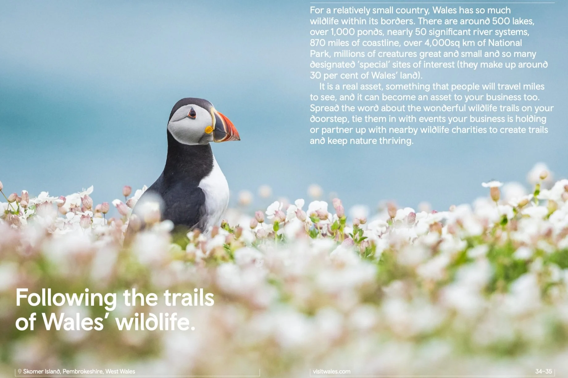 Screenshot 2023-06-09 at 09.49.43.jpg