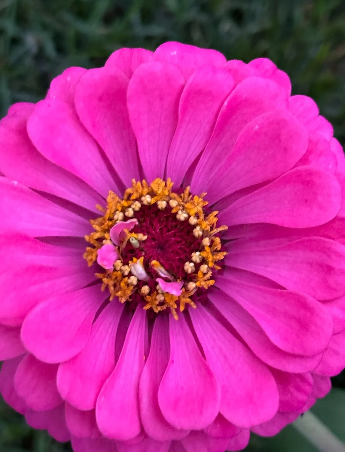 View recent photos 4.jpeg