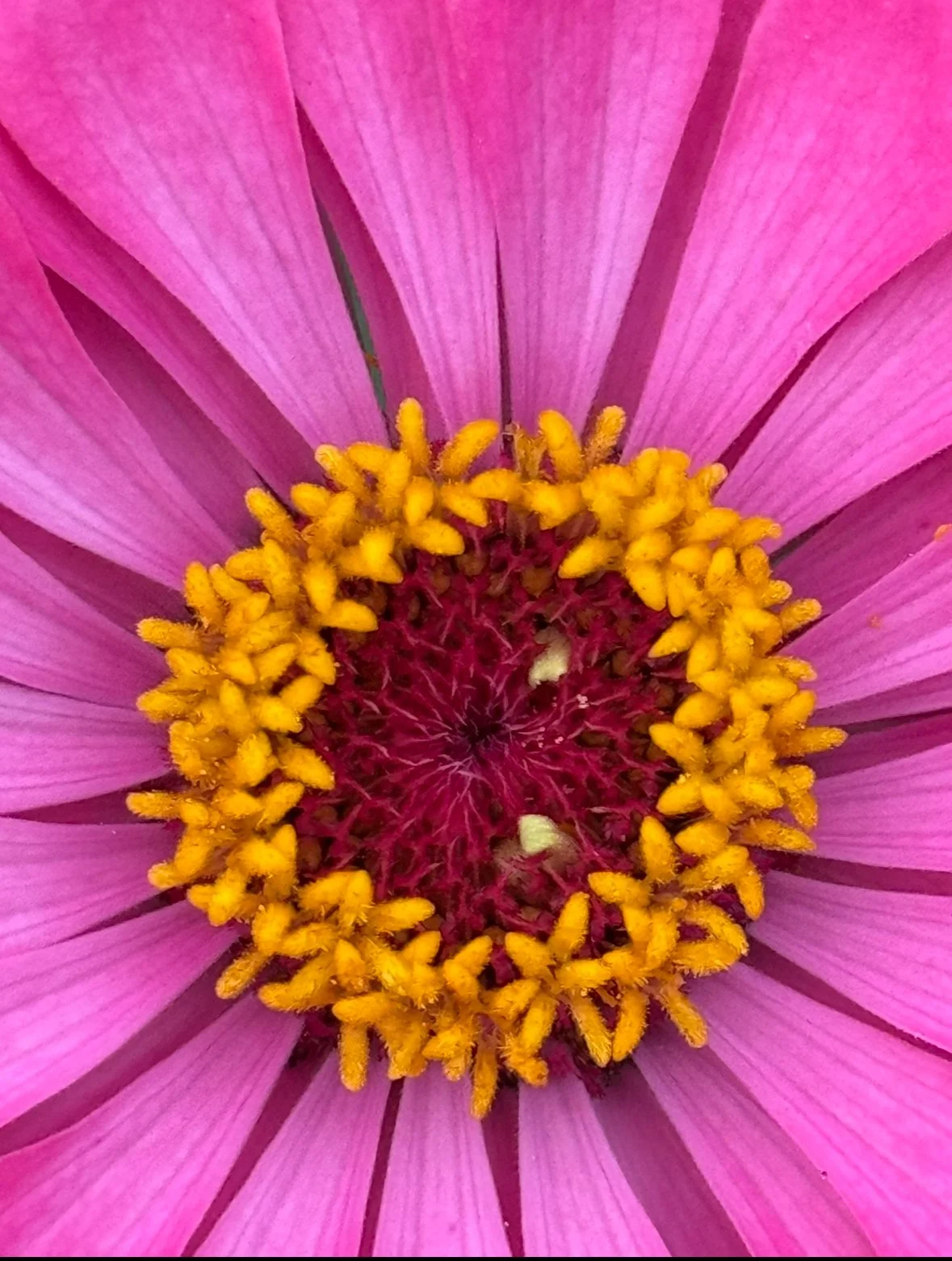 View recent photos 7.jpeg