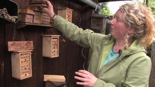 A visit with City Farmer in the Early Spring of 2011