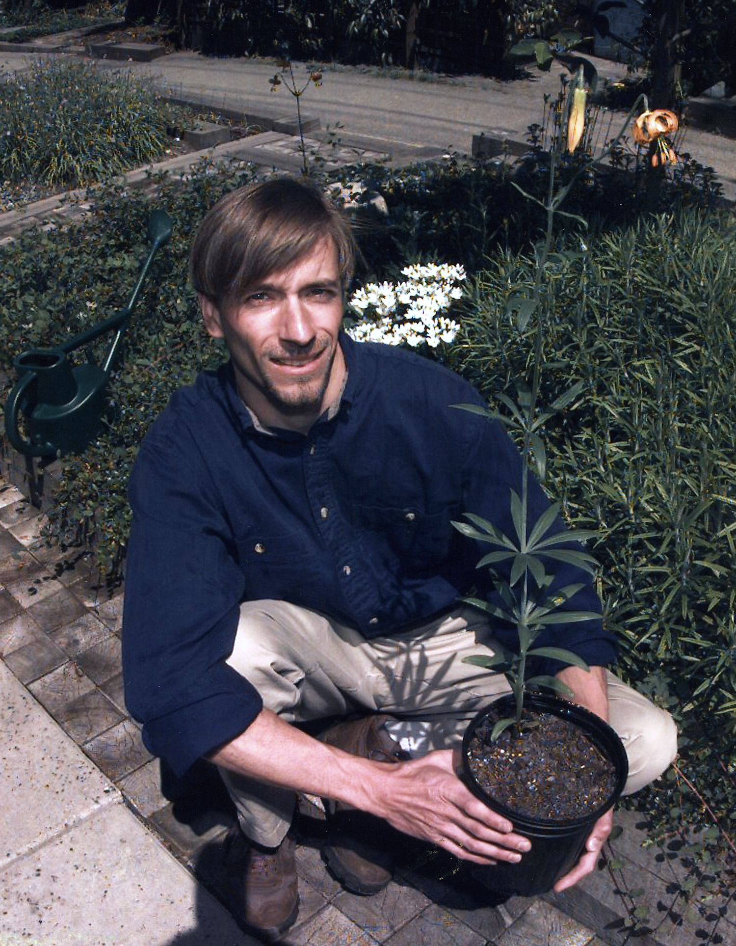 Ross Waddell, Garden Designer
