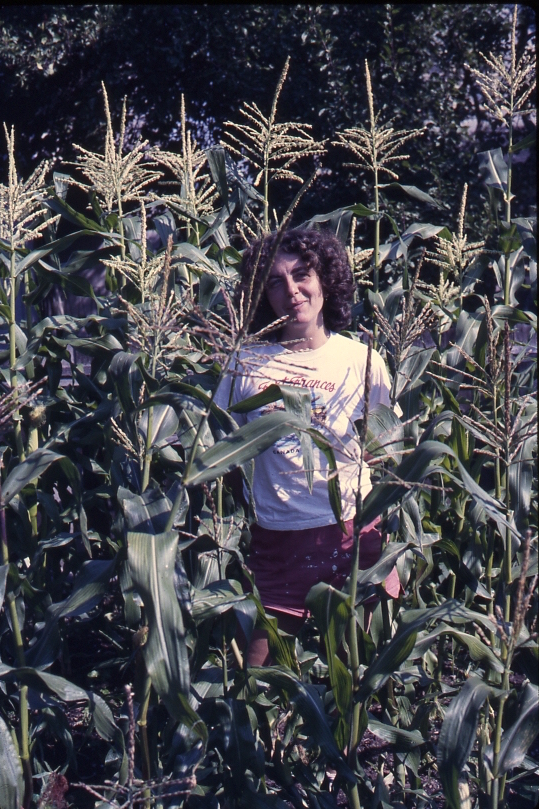 Chris Ferris, Head Gardener