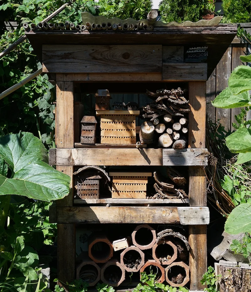 Bee Hotel.