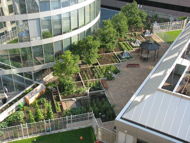 Visiting the YWCA Rooftop Garden