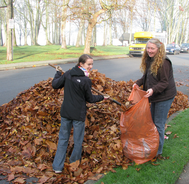 Collecting Leaves at the Beach