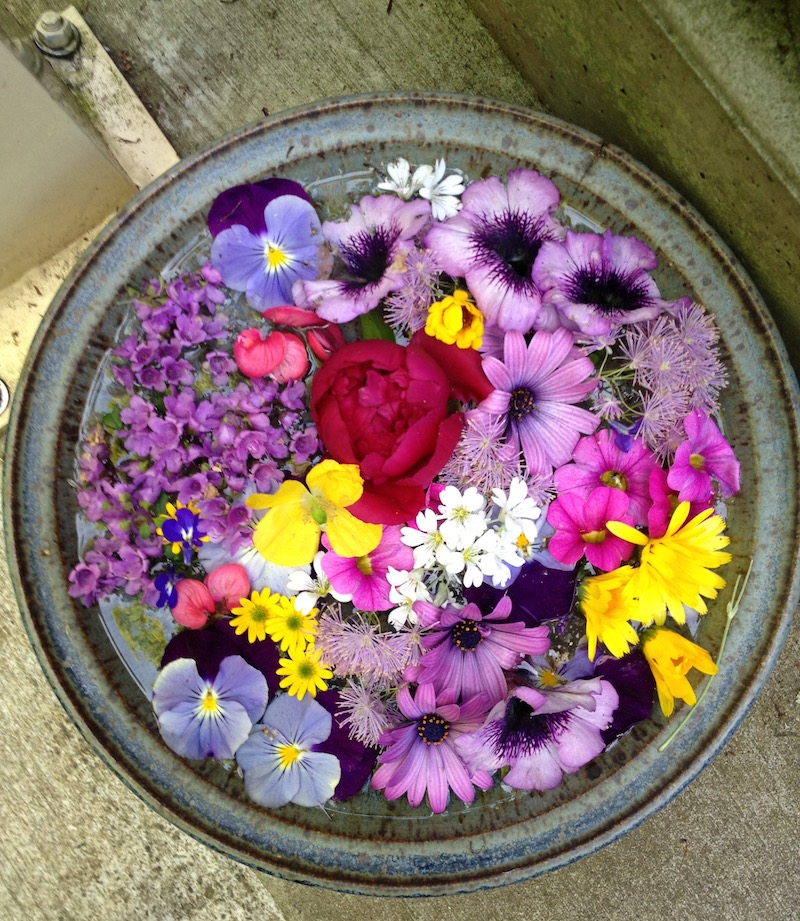 Flowers Displayed in Water