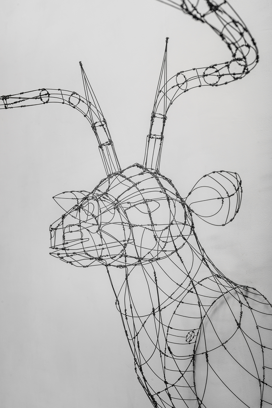 Deer Head, detail