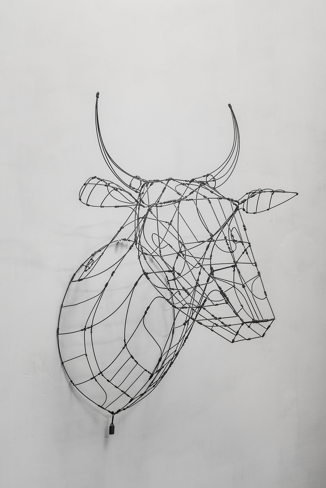 Cow Head