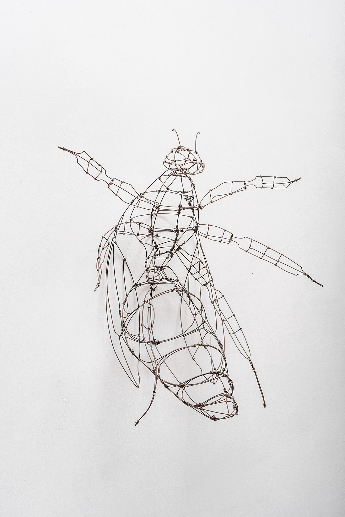 Hornet
