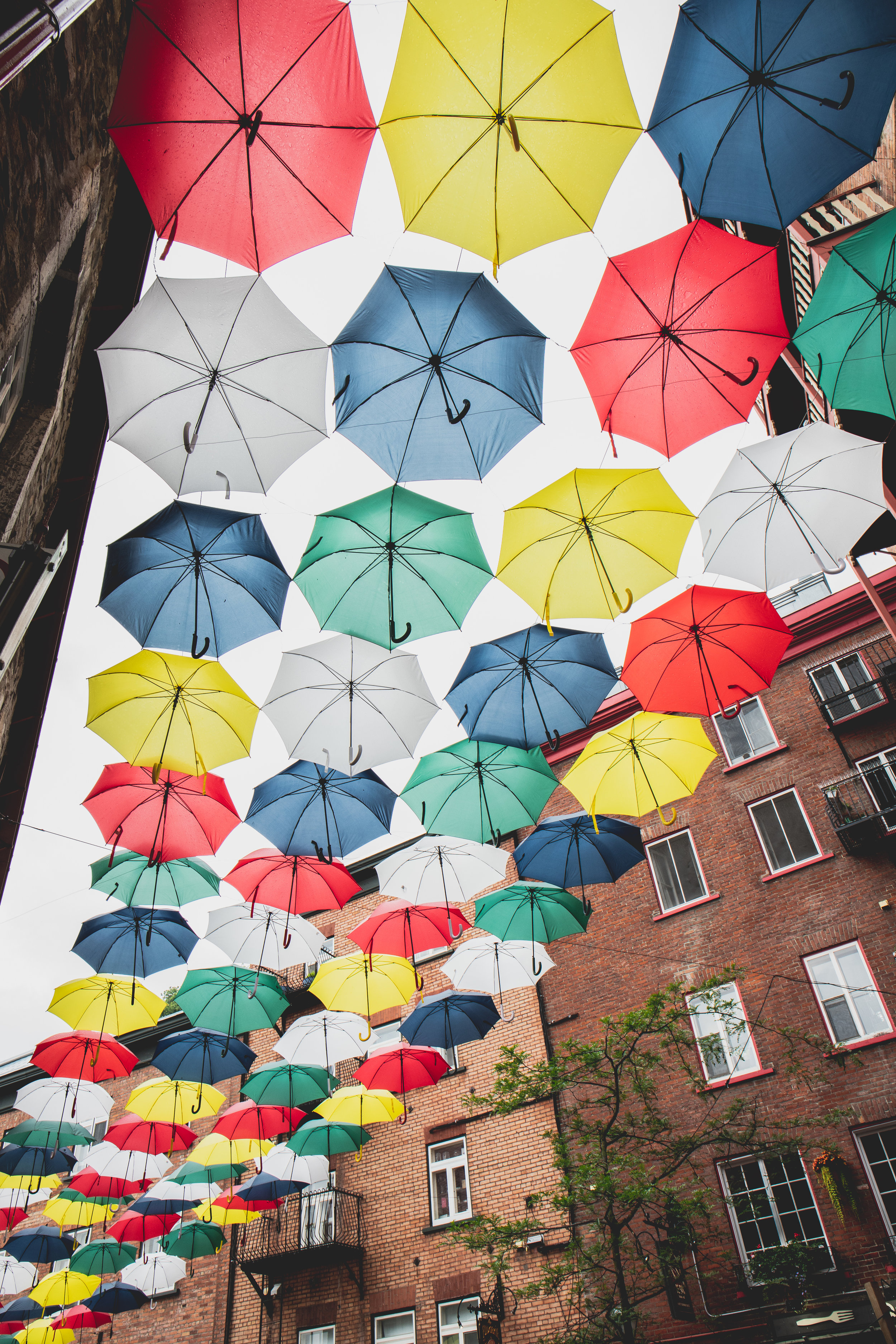 rue du petit champlain