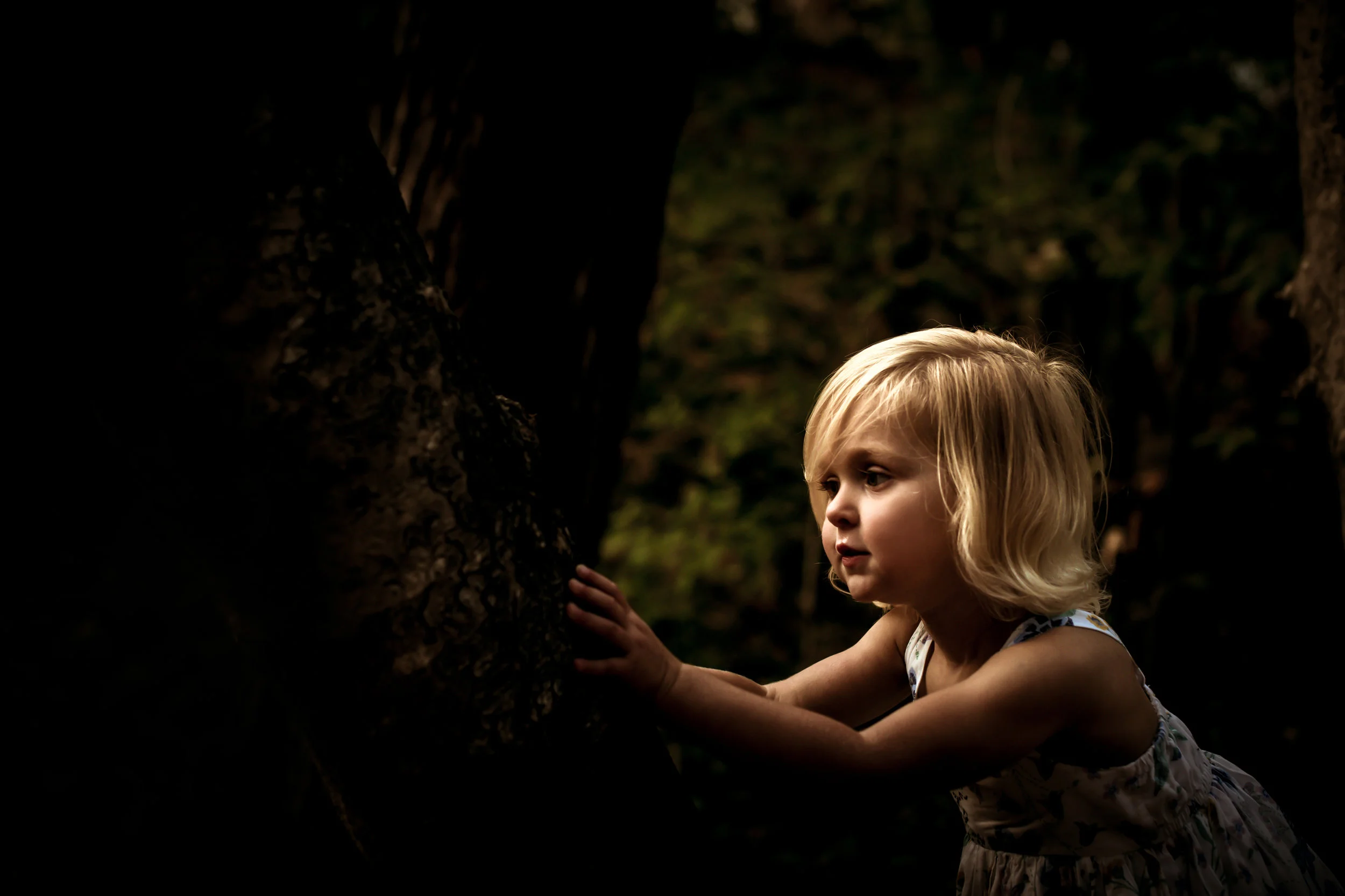 CM2_5825-Edit.jpg