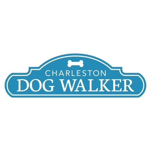 women-owned-business-charleston-dog-walker.jpg