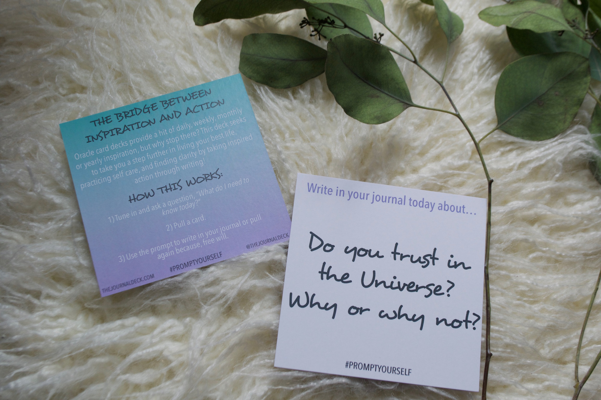 Example Card + Back of Info Card