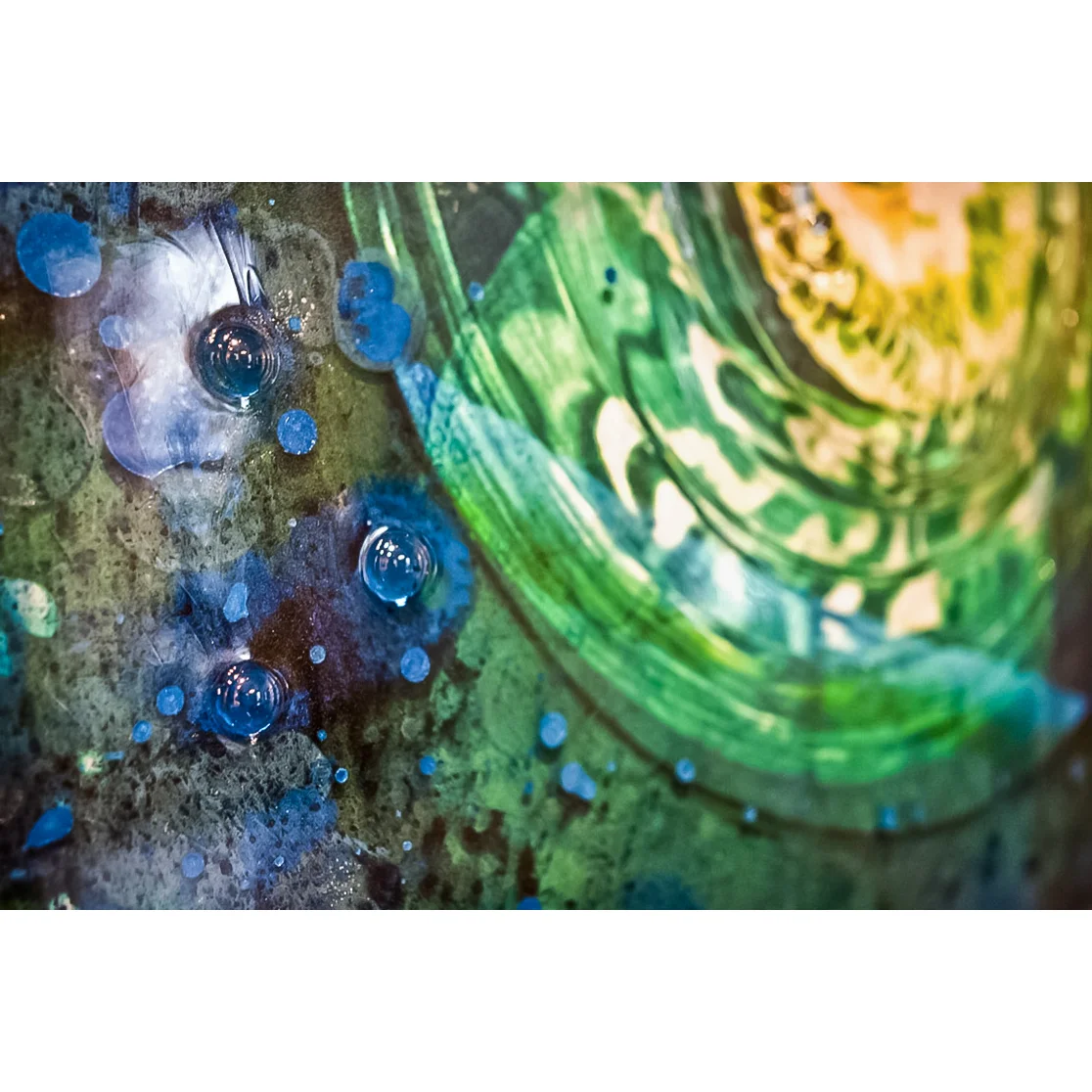 Seeds of Life closeup - Collin Rowland.jpg