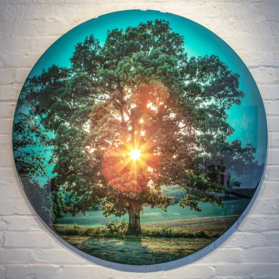 Tree-of-Light---Collin-Rowland.jpg