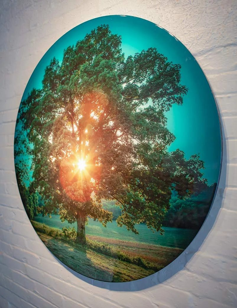Tree-of-Light-(side)---Collin-Rowland.jpg