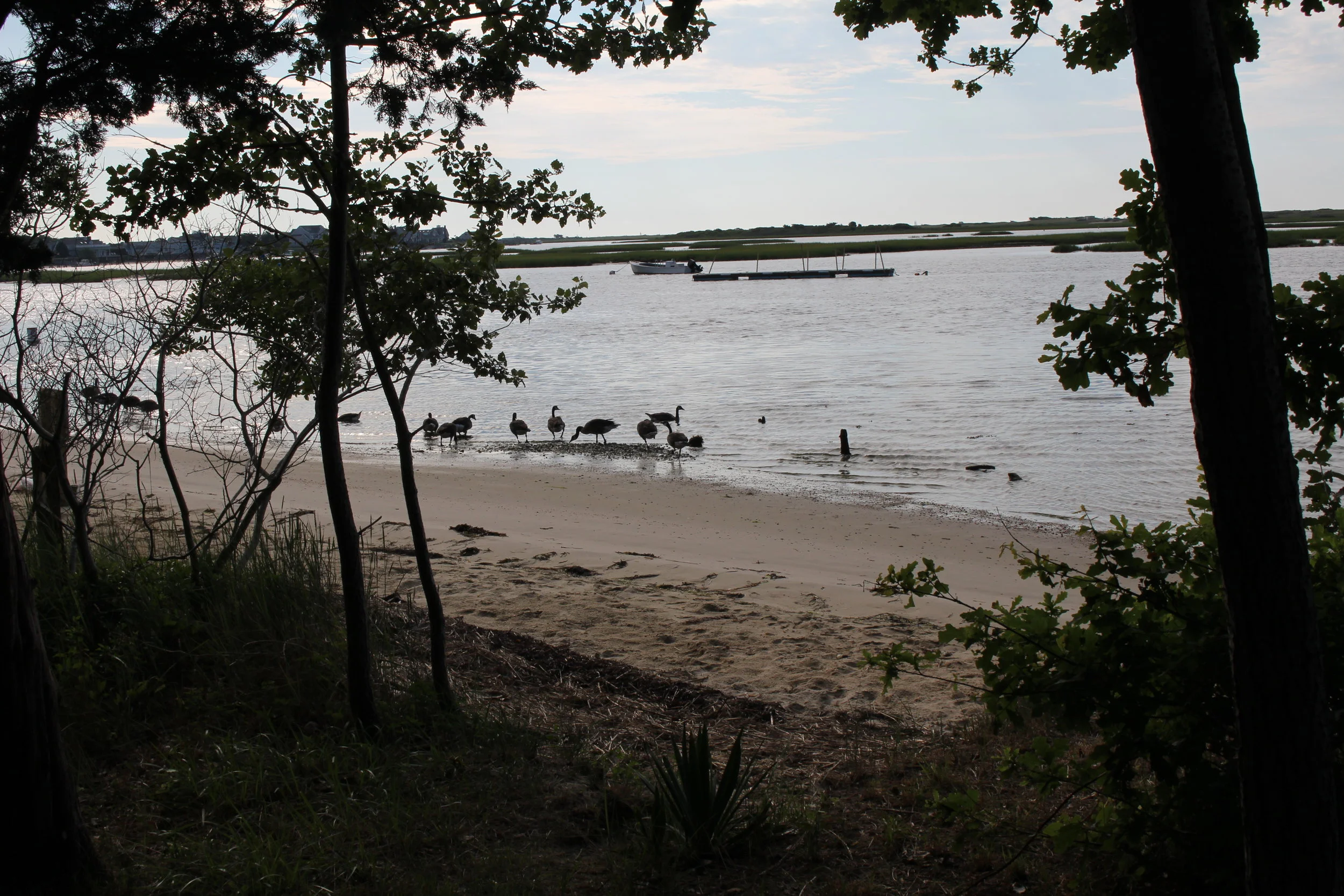  Friends of Bass River   Educate. Collaborate. Preserve.    Learn More  