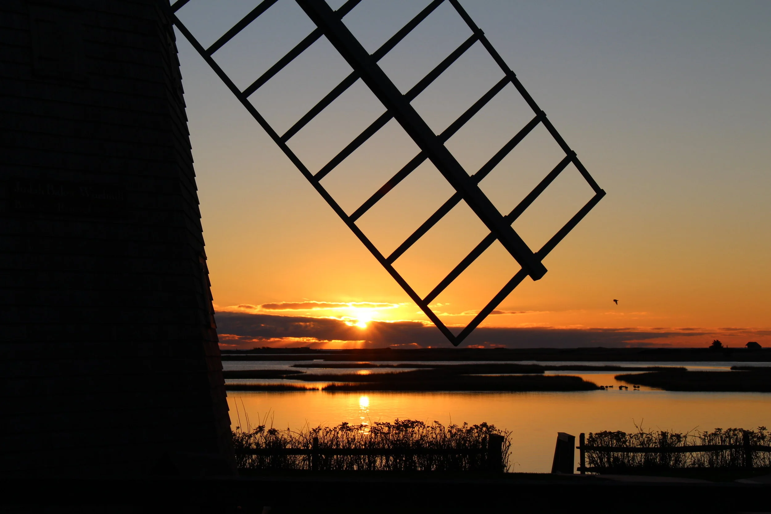  Friends of Bass River   Educate. Collaborate. Preserve.    Learn More  