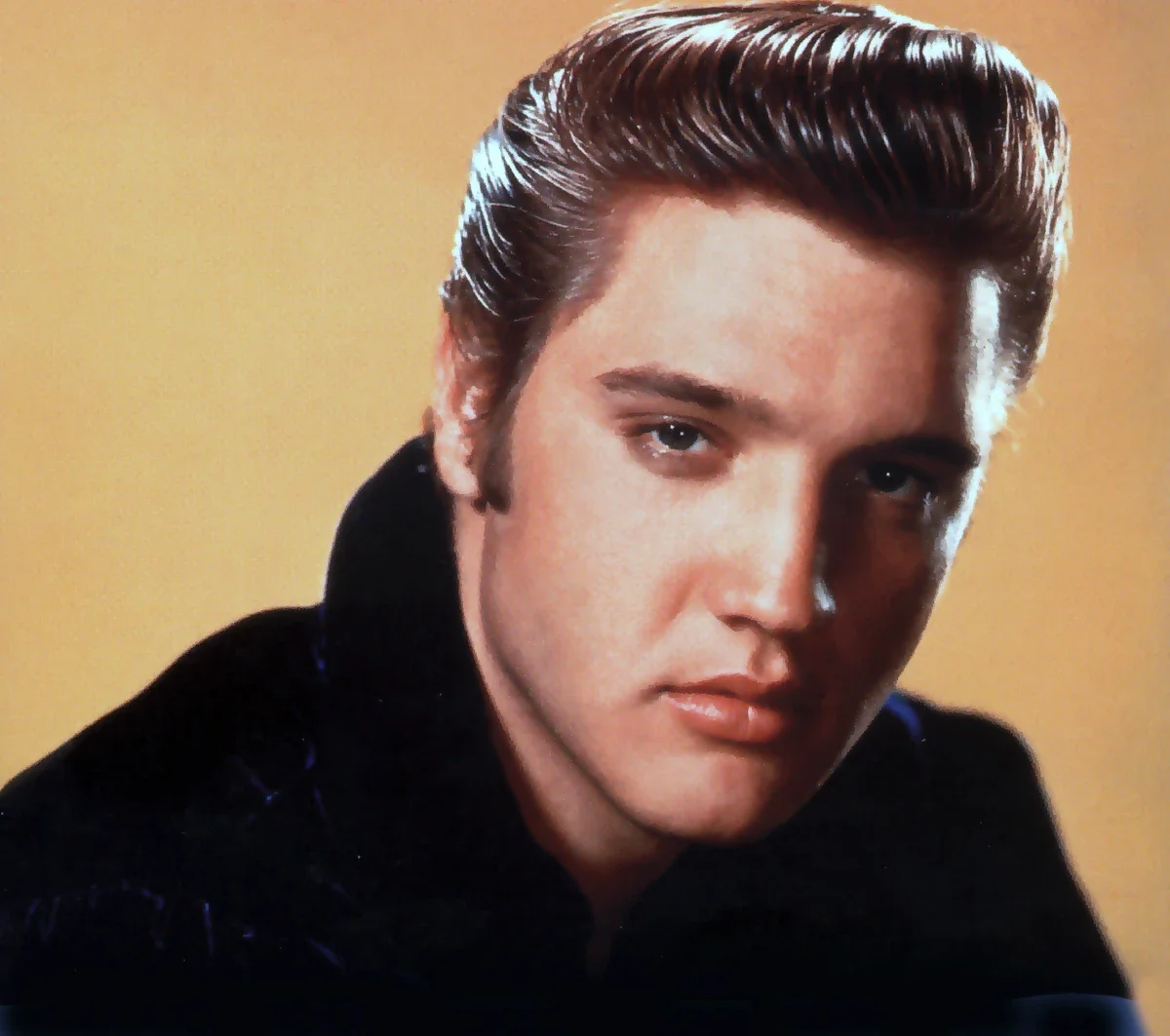 A Mountain View Tribute: Elvis