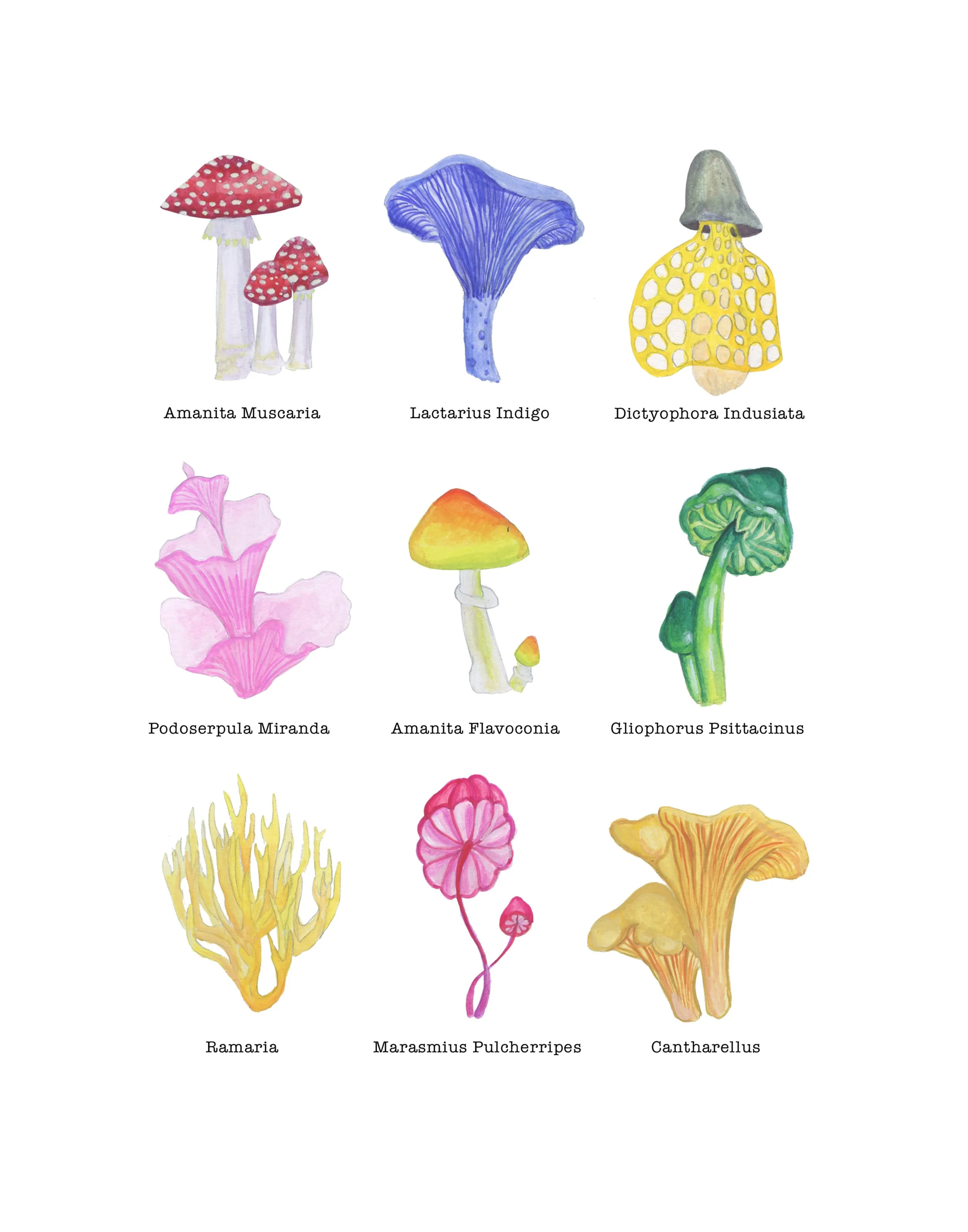 11 x 14 Mushrooms.jpg
