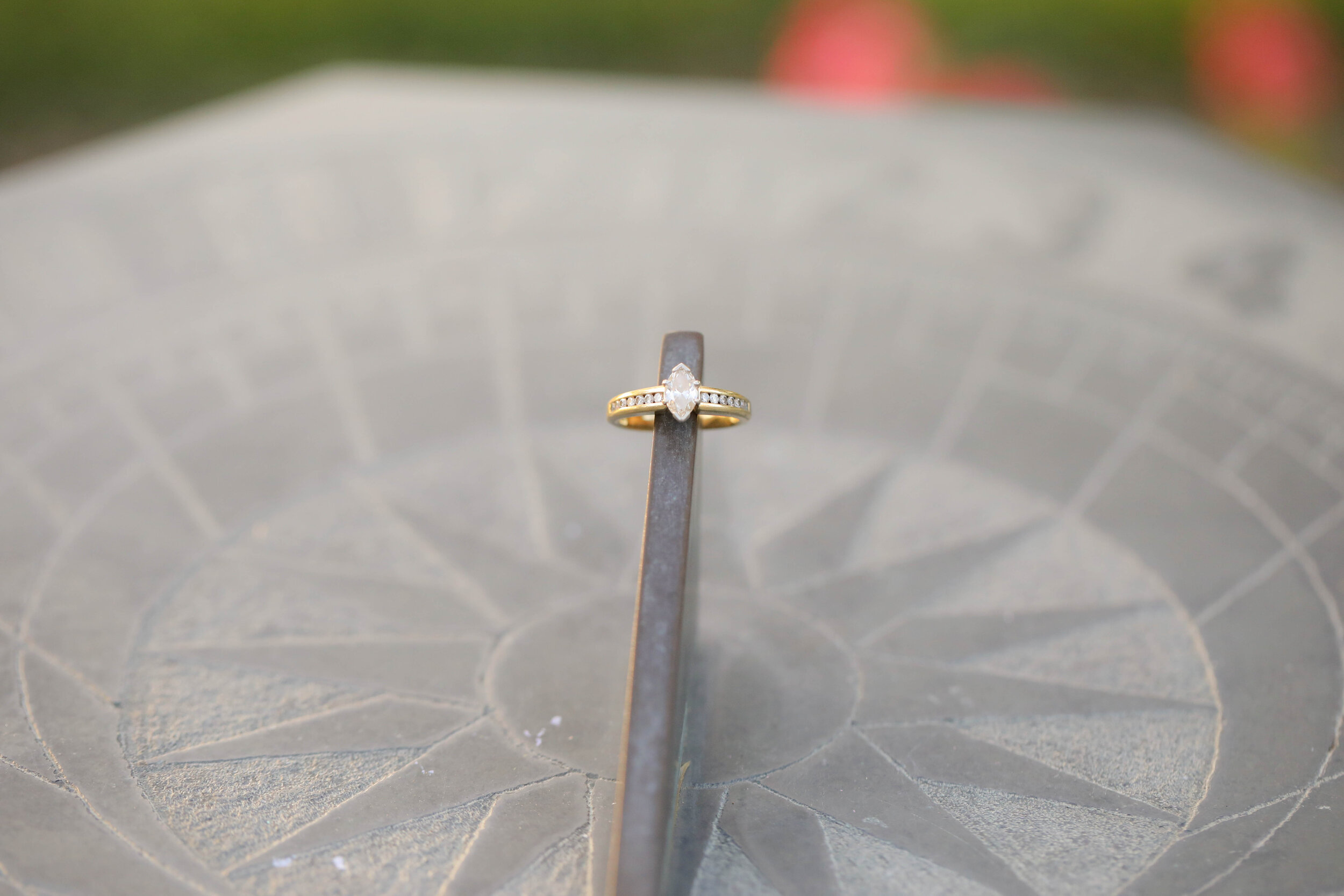 Lisa V Engagement-67.jpg