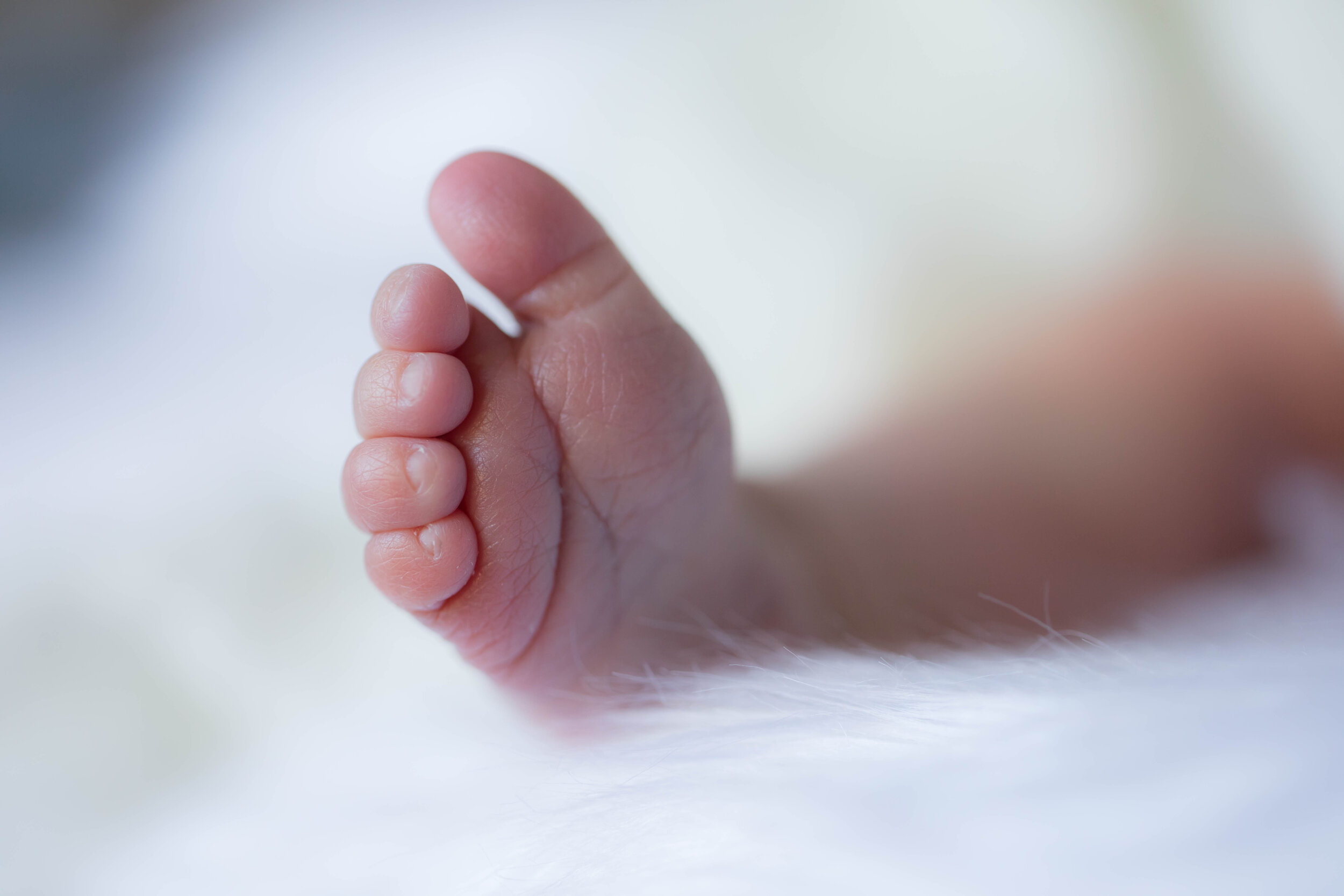 Wideberg Newborn-5.jpg