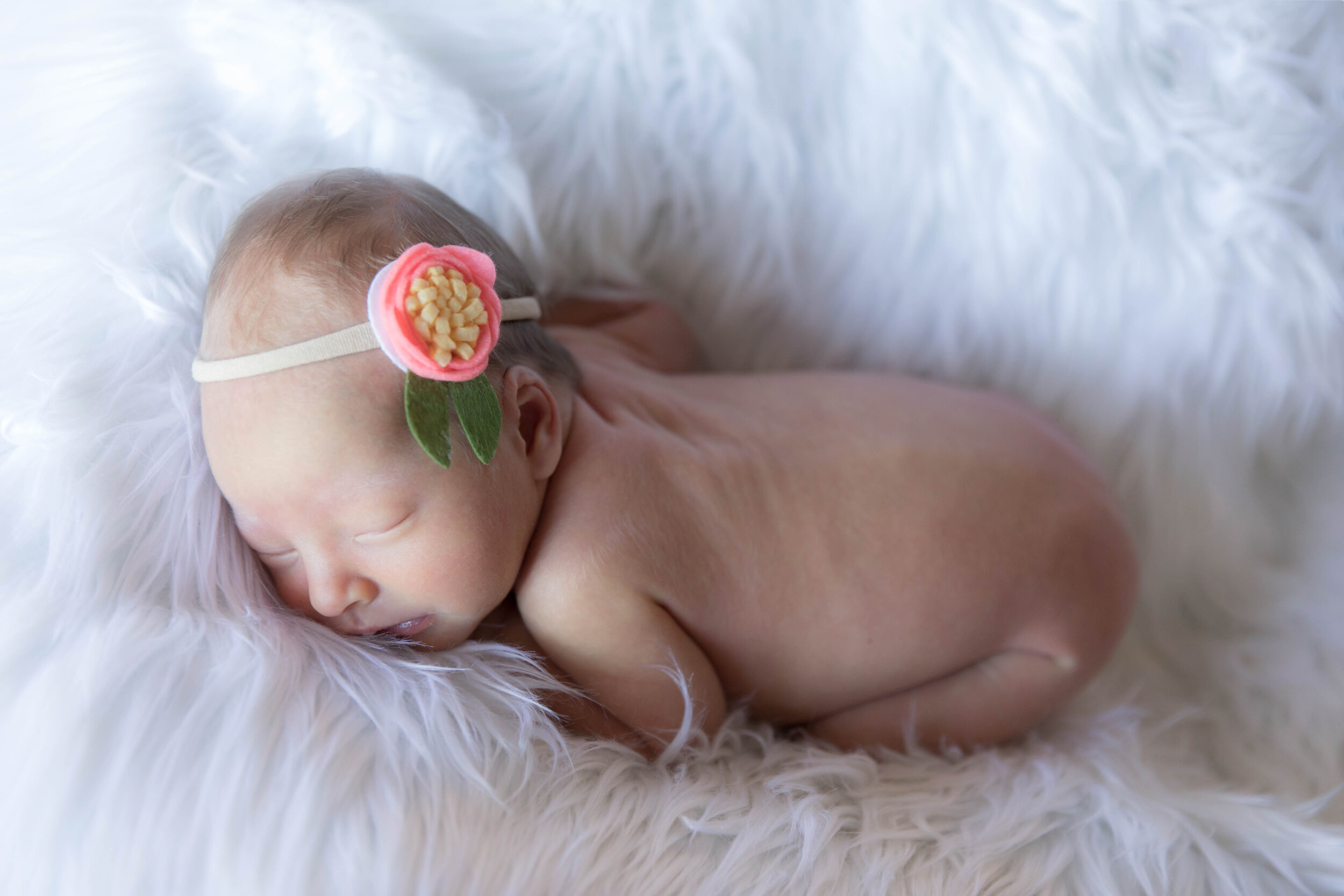 Wideberg Newborn-50.jpg