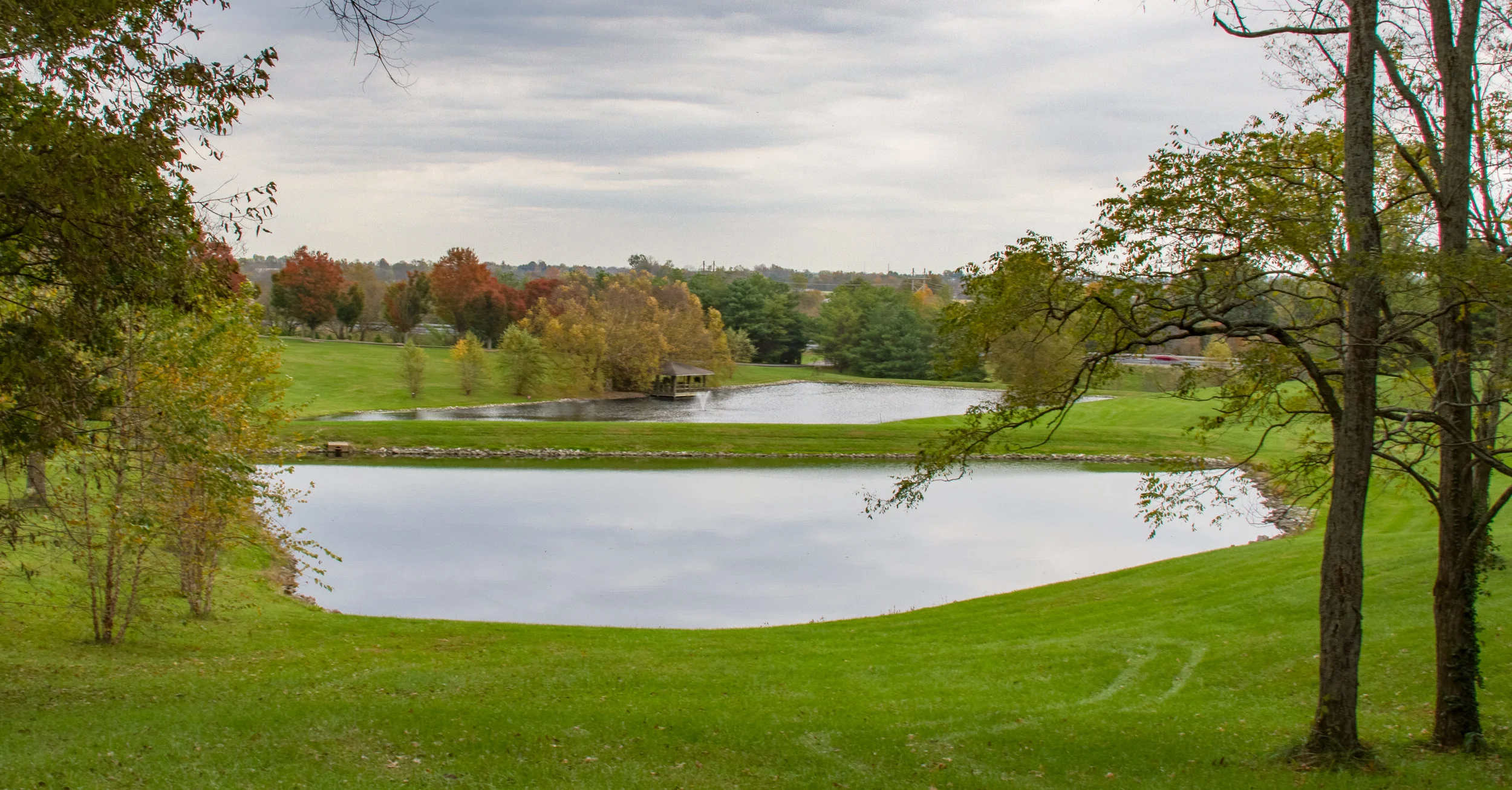 Photos — Driscoll Estate