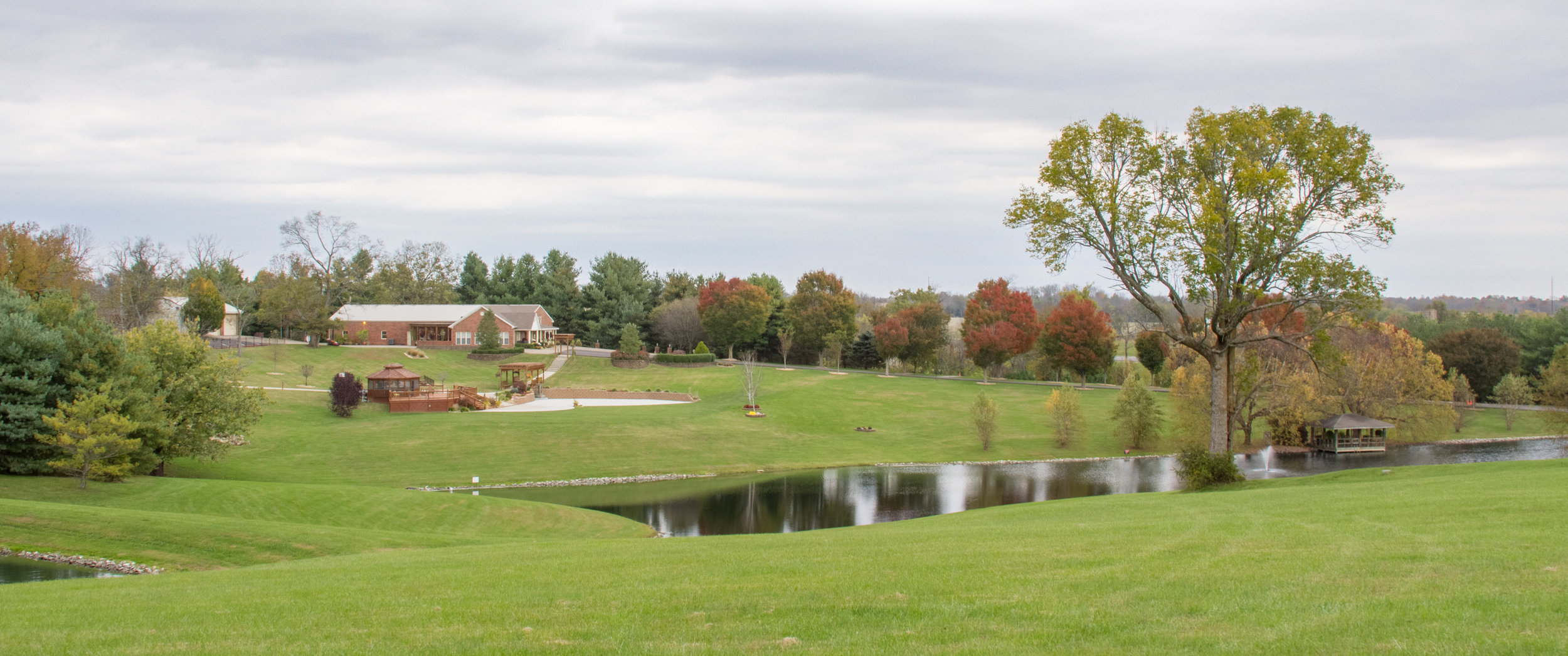 Photos — Driscoll Estate