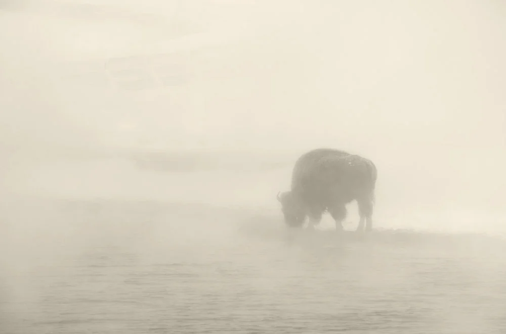 Silent Storm