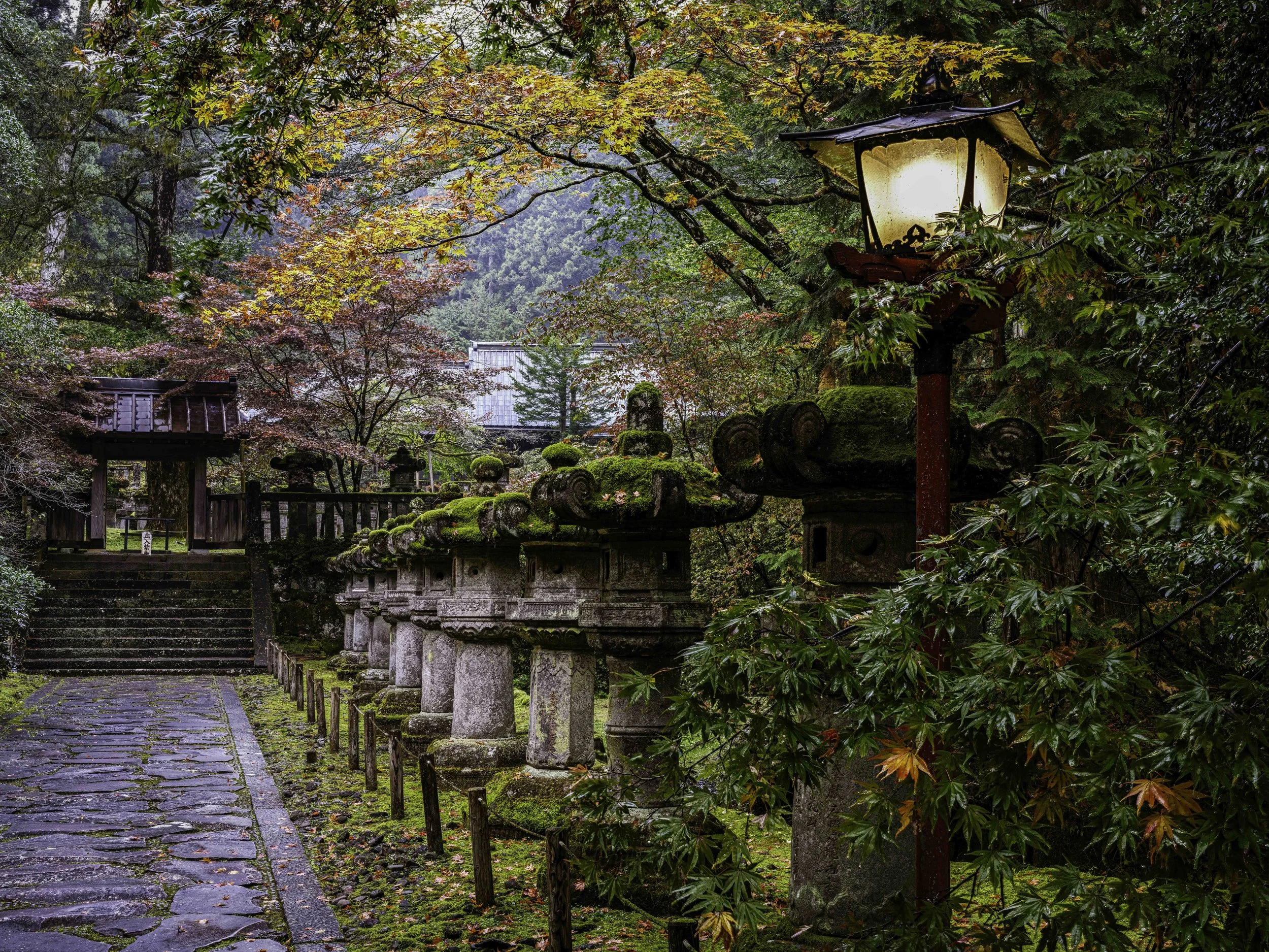 A Nikko Sprinkle